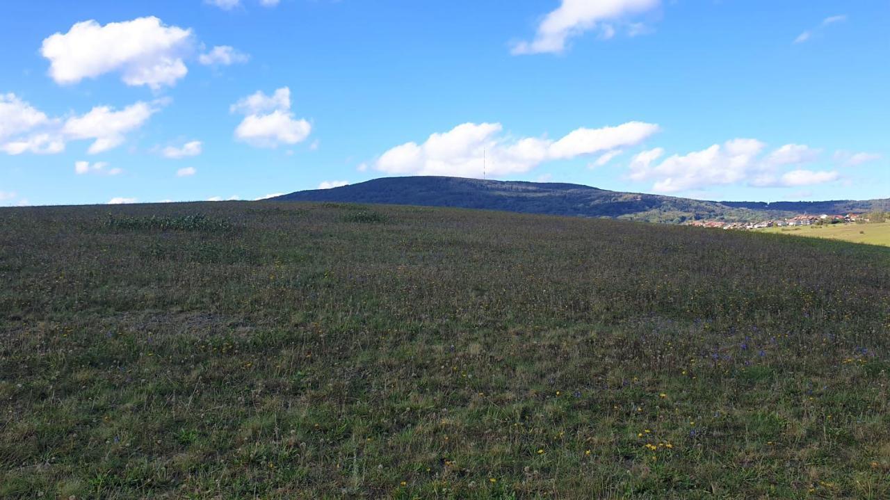 Kaline 2 Διαμέρισμα Wildflecken Εξωτερικό φωτογραφία