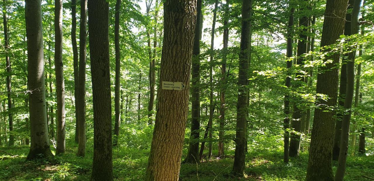 Kaline 2 Διαμέρισμα Wildflecken Εξωτερικό φωτογραφία
