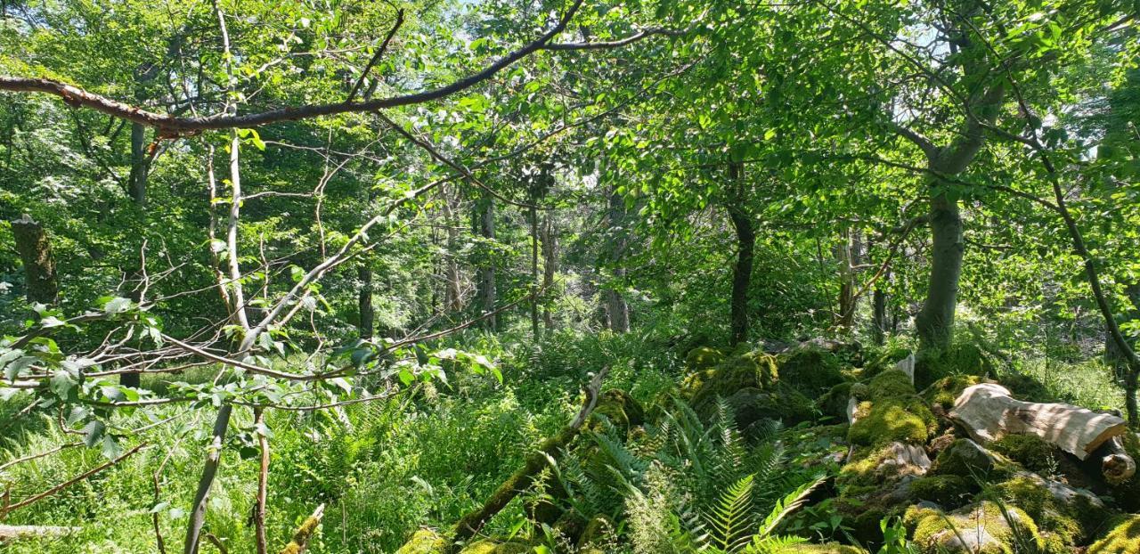 Kaline 2 Διαμέρισμα Wildflecken Εξωτερικό φωτογραφία