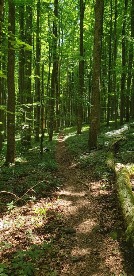 Kaline 2 Διαμέρισμα Wildflecken Εξωτερικό φωτογραφία